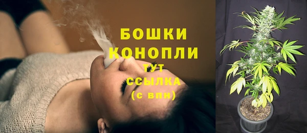 прущие крисы Россошь