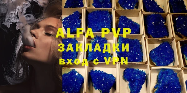 мдпв Рославль