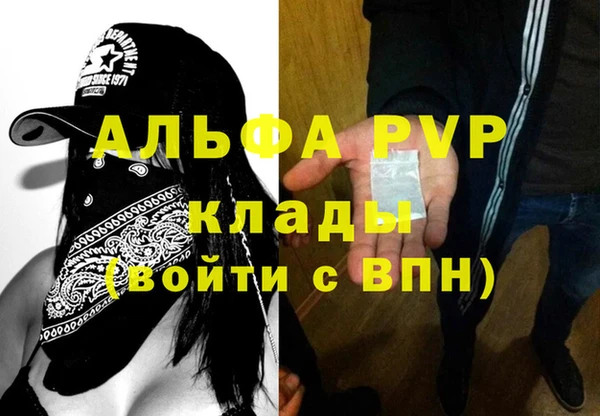 мдпв Рославль