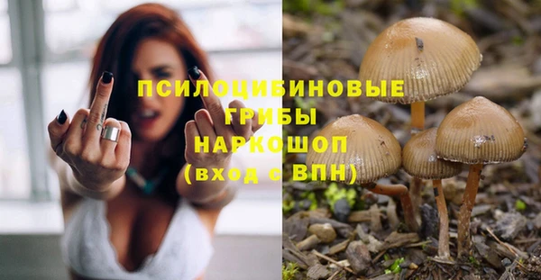прущие крисы Россошь