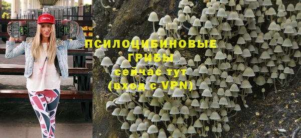 прущие крисы Россошь