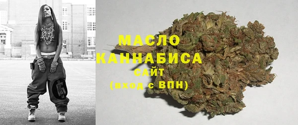 мдпв Рославль