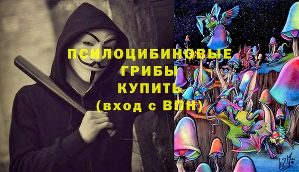 дурь Ростов