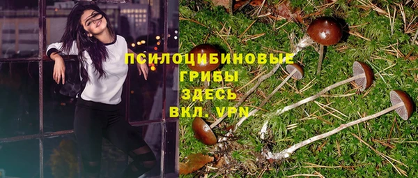 прущие крисы Россошь