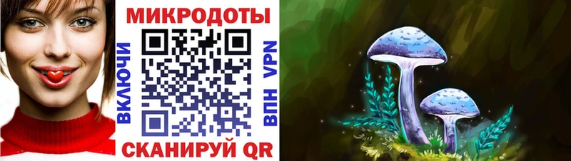 Галлюциногенные грибы Psilocybine cubensis  Талица 